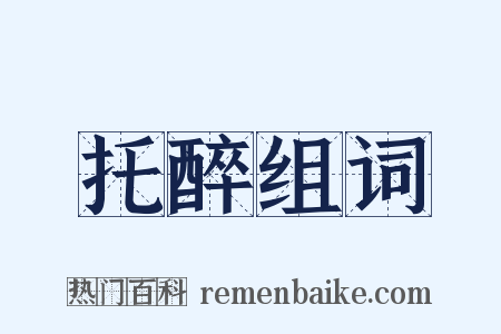 托醉组词是什么意思的图片